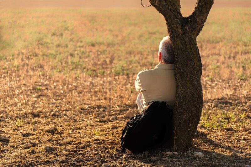 木に寄りかかる孤独な老人